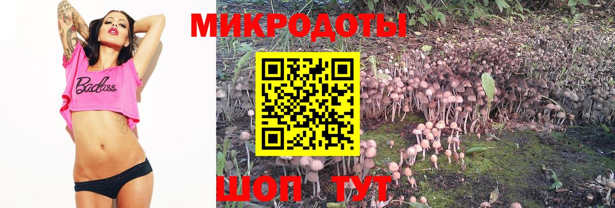Еманжелинск  Псилоцибиновые грибы ЛСД  Вход с VPN 