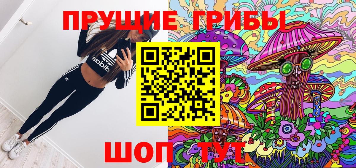 Галлюциногенные грибы Psilocybine cubensis Еманжелинск